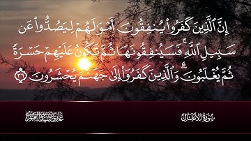 مقطع من سورة الأنفال بصوت الشيخ غازي العمري