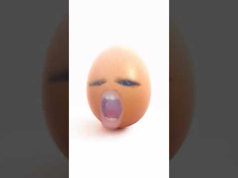 اغنية البيضة المشهورة عالميا