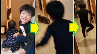 子供嫌いの灰色猫、ガラス越し(安全圏)だからと油断していたら・・・