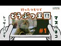 行ったつもりでどうぶつ王国 #1