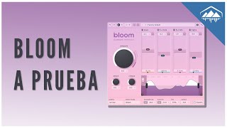 BLOOM ya está AQUÍ ! Primeras IMPRESIONES