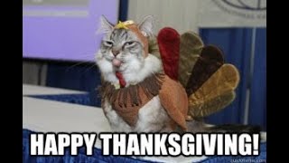 Happy Thanksgiving 2020 (best memes collections 2020)