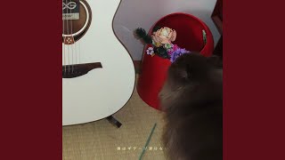 僕はギターが弾けない