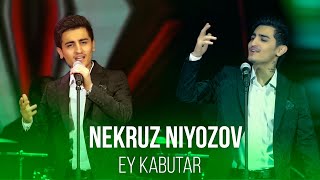 Некруз Ниёзов Эй Кабутар 2021 / Nekruz Niyozov Ey kabutar 2021