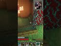 My Sweet Little Kitty | Minecraft SMP Shorts
