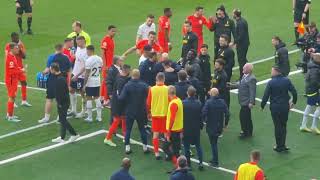 STELLINI AND DE ZERBI SENT OFF: Tottenham v Brighton