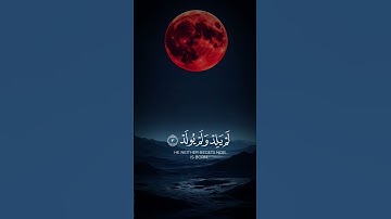 آيات القرآن الكريم 🤍🤲🏻.... #قرآن #المصحف #راحة_نفسية #الرحمن #القران_الكريم #قران_كريم