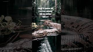 Èskew te konn sa ?#eskewtekonnen #forêt #amazonie #kreyol