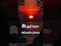 alquran |القرآن #shorts #quran #urdu #hindi #shortsfeed #share #bayan #fyp #foryou #love