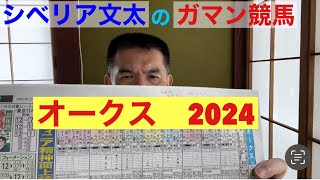 シベリア文太「ガマン競馬」第177弾【オークス】2024/05/19