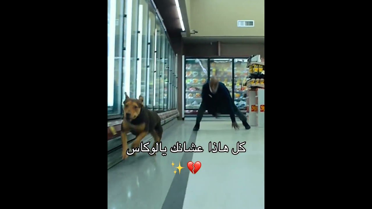 والله لو مايجيب دعم🩴#اكسبلور #shorts
