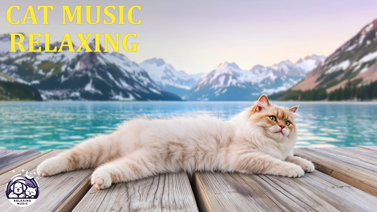 Thumbnail for Feline Anxiety Relief With Calming Music