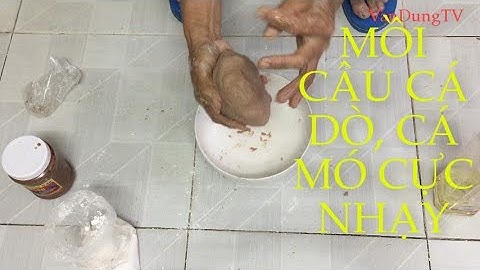 HƯỚNG DẪN LÀM MỒI CÂU CÁ DÒ, CÁ MÓ BIỂN CỰC NHẠY - TẬP 20 - VANDUNG TV