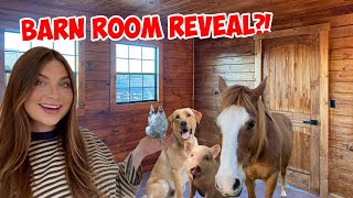 The NEW BARN ROOM IS FINISHED! | Building My NEW DREAM HORSE BARN PART 6!