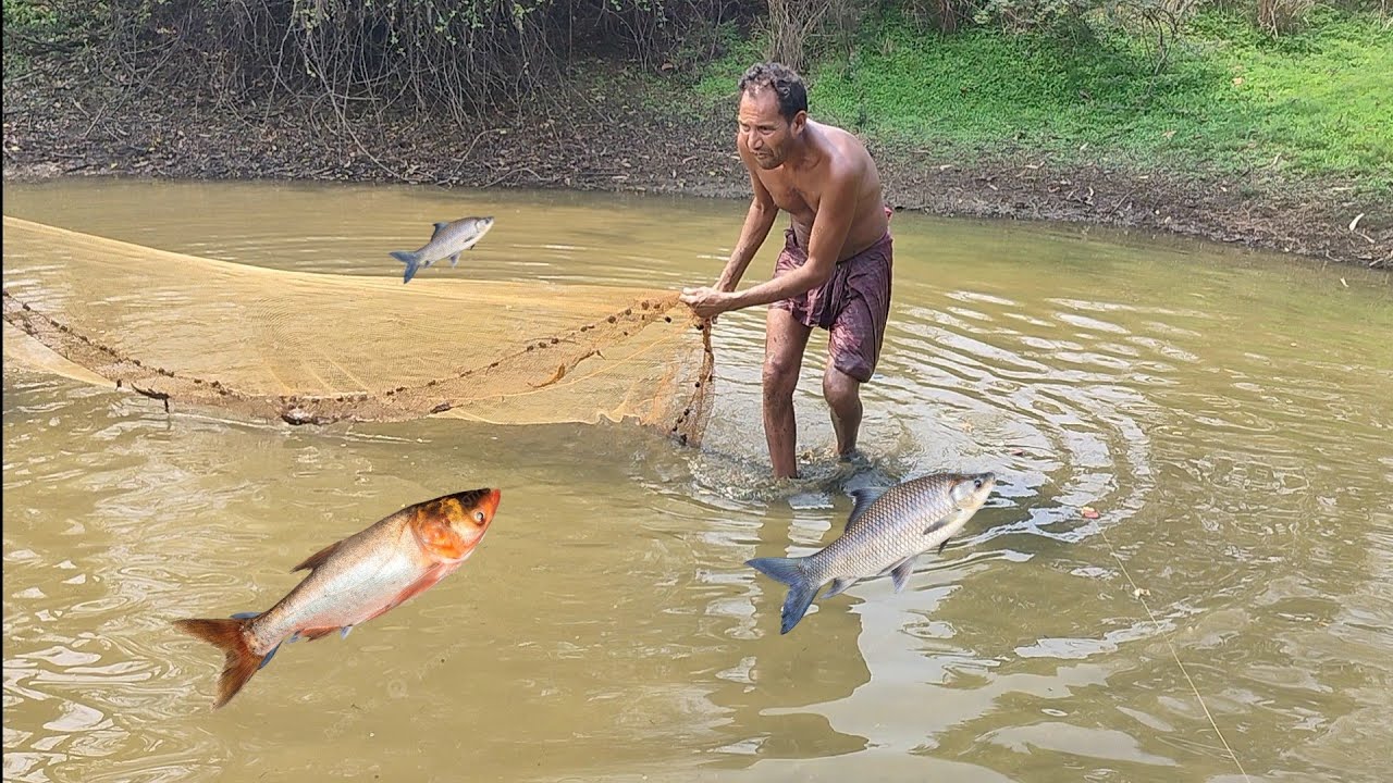 Best net Fishing Video - Traditional Catching Fish in The pond - YouTube