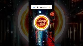 Paris at Night - French House (prod. SIlence Label) #music #edm #bass