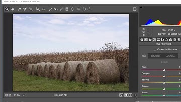 Grayscale/Duotone (BW)