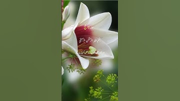 Surat Al-Hajj (سورة الحج) #beautiful #relax #quran #surat #hajj#qurantranslation🌹🌹❣️❣️