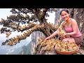 LIVE STREAM: Harvesting Wild Ducklings in Exchange for Household Supplies | Daily Survival Life
