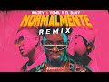 WILDEY ❌ YOMIL Y EL DANY Normalmente REMIX (Audio Oficial) Reggaeton Repartero Cubaton Reparto