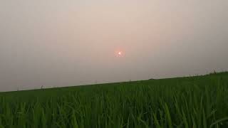 Bangladesh A Land of Wonders  4K Relaxing Travel Film screenshot 2