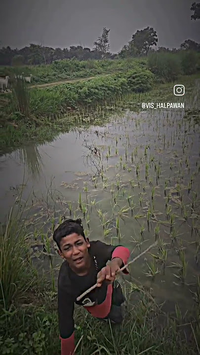 https://www.instagram.com/reels/audio/1634935980502814/