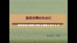 品目分類とHS : 税関 Japan Customs