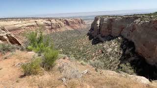 IMG 4643