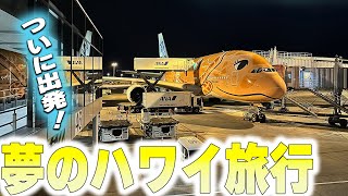 [Hawaii Family Trip #1] The family's dream trip to Hawaii has begun!!! Get airfare with miles!