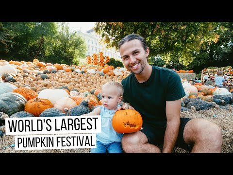 Video: How Is The Pumpkin Festival In Austria