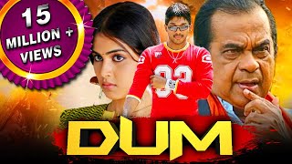 Dum (HD)  साउथ की ज़बरदस्त कॉमेडी फिल्म |Allu Arjun, Brahmanandam,, Genelia D'Souza, Manoj Bajpayee