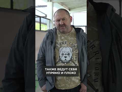 САМЫЕ СЛОЖНЫЕ в ДРЕССИРОВКЕ породы! Каких собак НЕ ЗАВОДИТЬ? #shorts #дрессировкасобаки #дрессировка