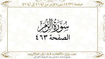 صفحة 463 سورة الزمر من آية 41 إلى آية 47
