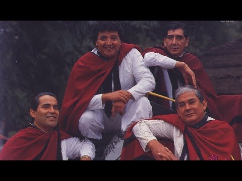 Los Fronterizos Los Manseros Santiagueños Los Chalchaleros Los Tucu Tucu Los Visconti Los del Suquia