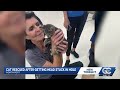 Kitten rescued and adopted outside Walgreens in North Port