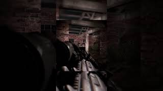 Выполнил Заказ S.t.a.l.k.e.r:  G.a.m.m.a. Anomaly #Shorts