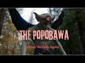 Popobawa The Terrifying Cryptid That Haunts Tanzania