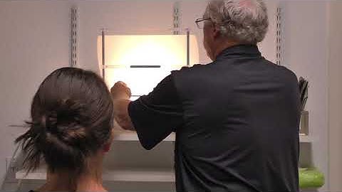 RO Rob VT Vectograms Beginning