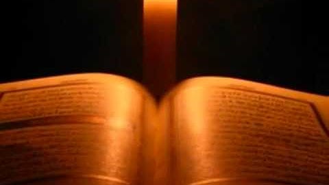 تلاوه مريحه للقارئ أنس الغامدي قرأن كريم YouTube