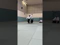 Aikido Guillaume Erard: How to do a swift Shihonage throw