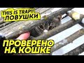 Падающая клетка и 5 разных спусковых конструкций (Survival: Traps on animals)