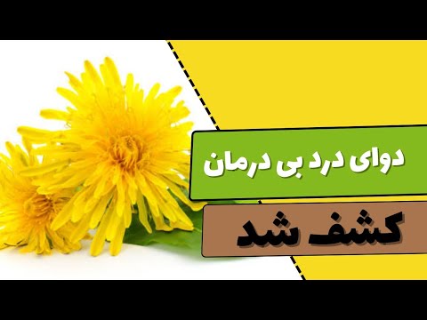 تصویری: آیا چای قاصدک شما را مدفوع می کند؟