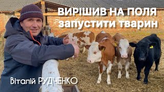 Розвиток тваринництва завдяки No-till