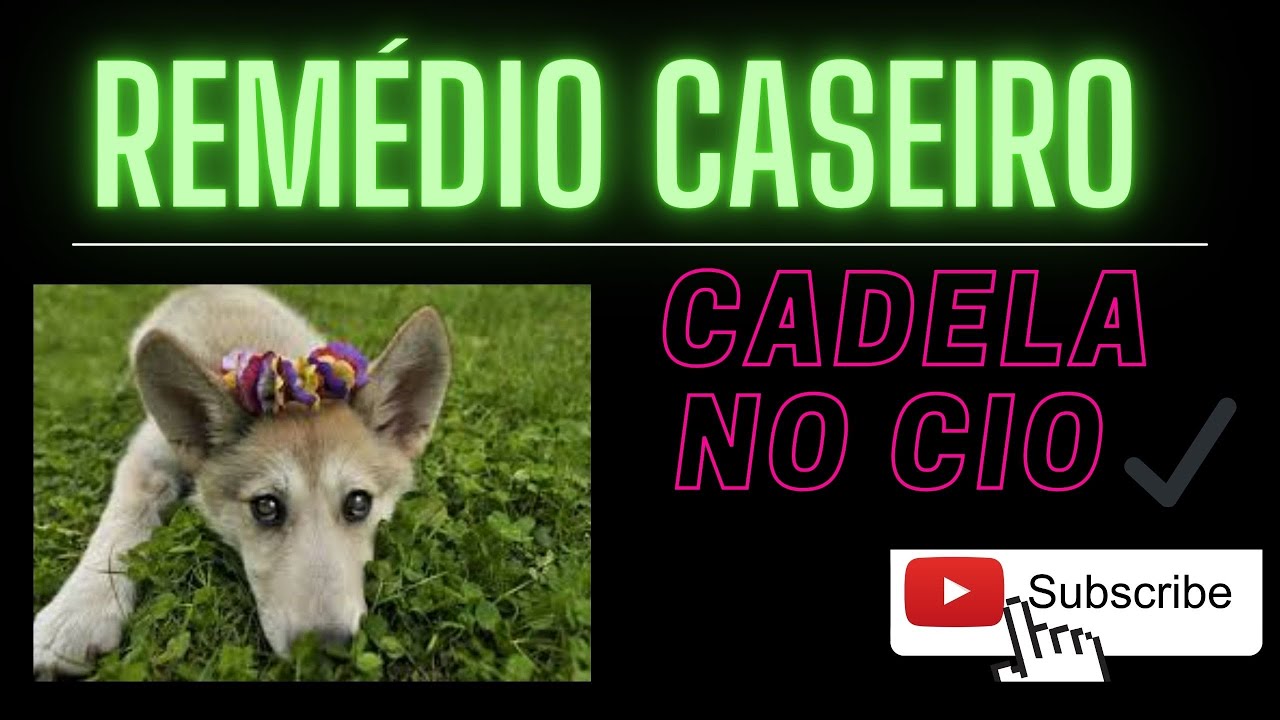 CADELA no CIO -Remédio para cortar o CIO - YouTube