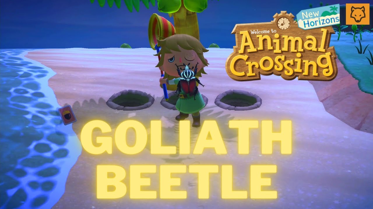 Catching a Goliath Beetle in ACNH