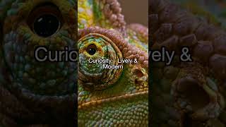 Next Track On cinematic  U0026 Film Scores Playlist  