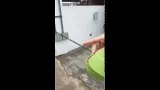 The Fury Of Hurricane Erika What The Media Did Not Show You.