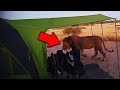 14 Scariest Camping Encounters Caught On Tape 14 Scariest Camping Encounters Caught On Tape