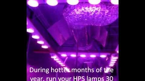 Original LED/HPS Hybrid Method with LGM550 LED Grow Lights