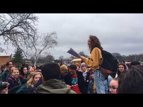 Loy Norrix High School students walk out for gun reform
